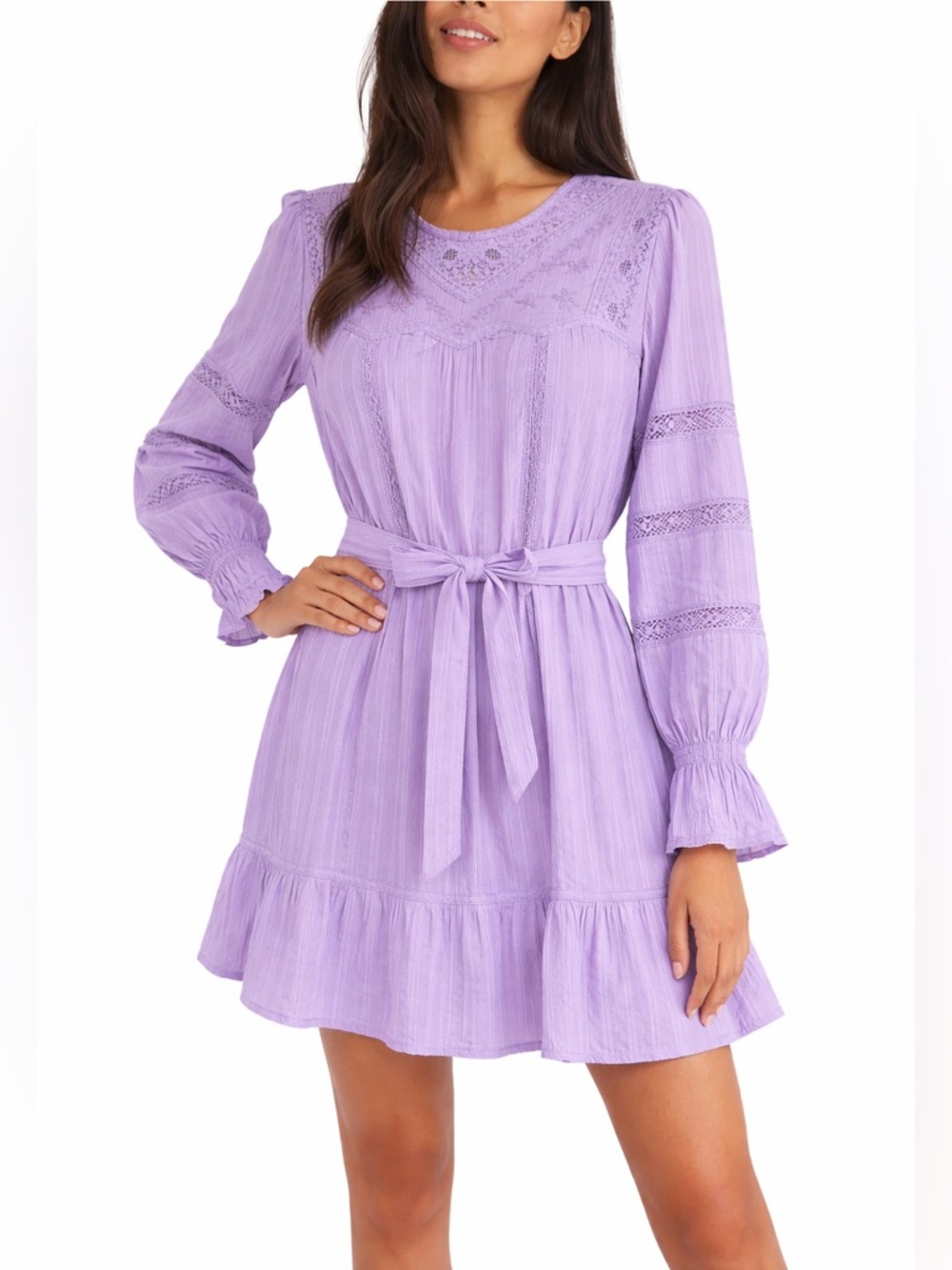 Allison New York Lavender Embroidered Lace Mini Dress Boho Cottagecore NWT Small